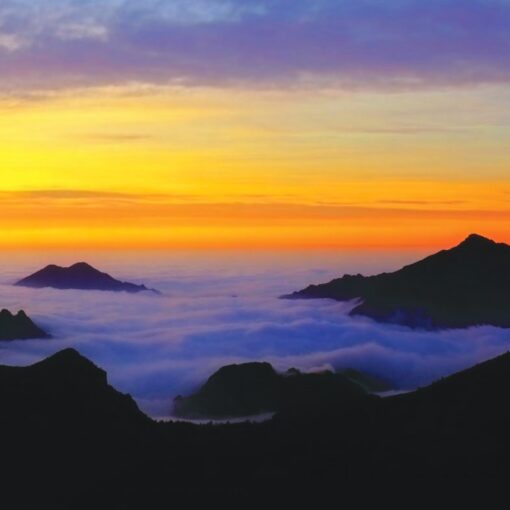 Stella Alpina 02.2026