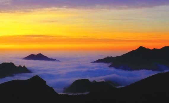 Stella Alpina 02.2026